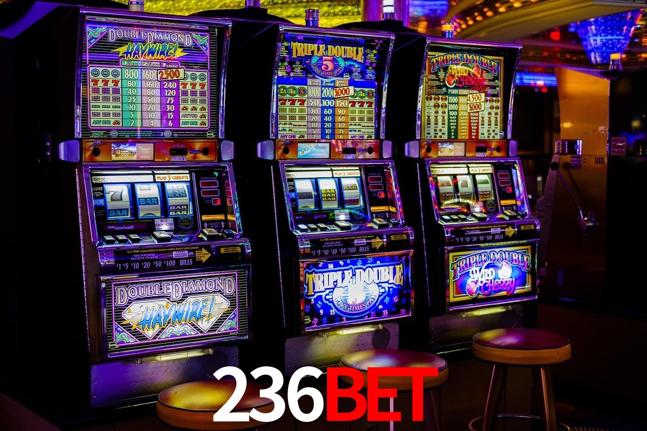 Experiência VIP 236bet