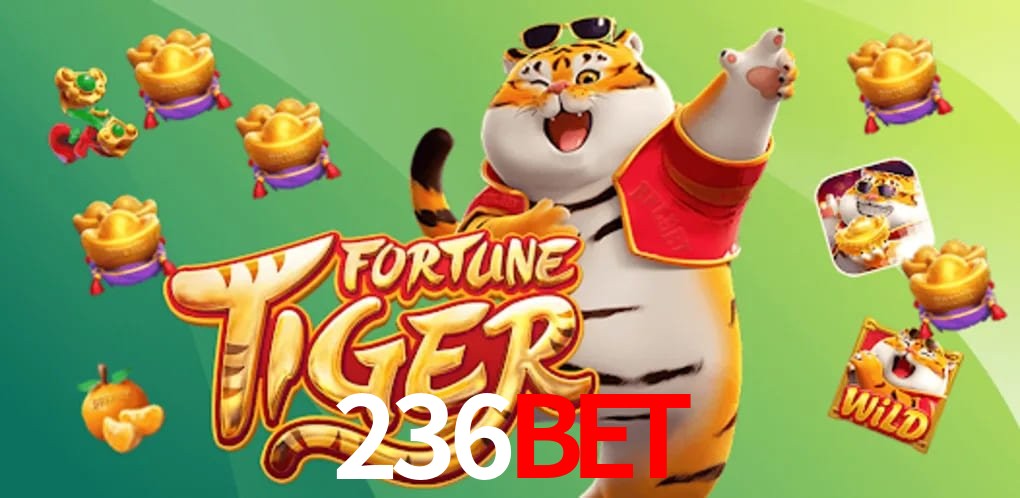 Experiência VIP 236BET