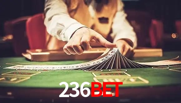 VIP Casino 236bet