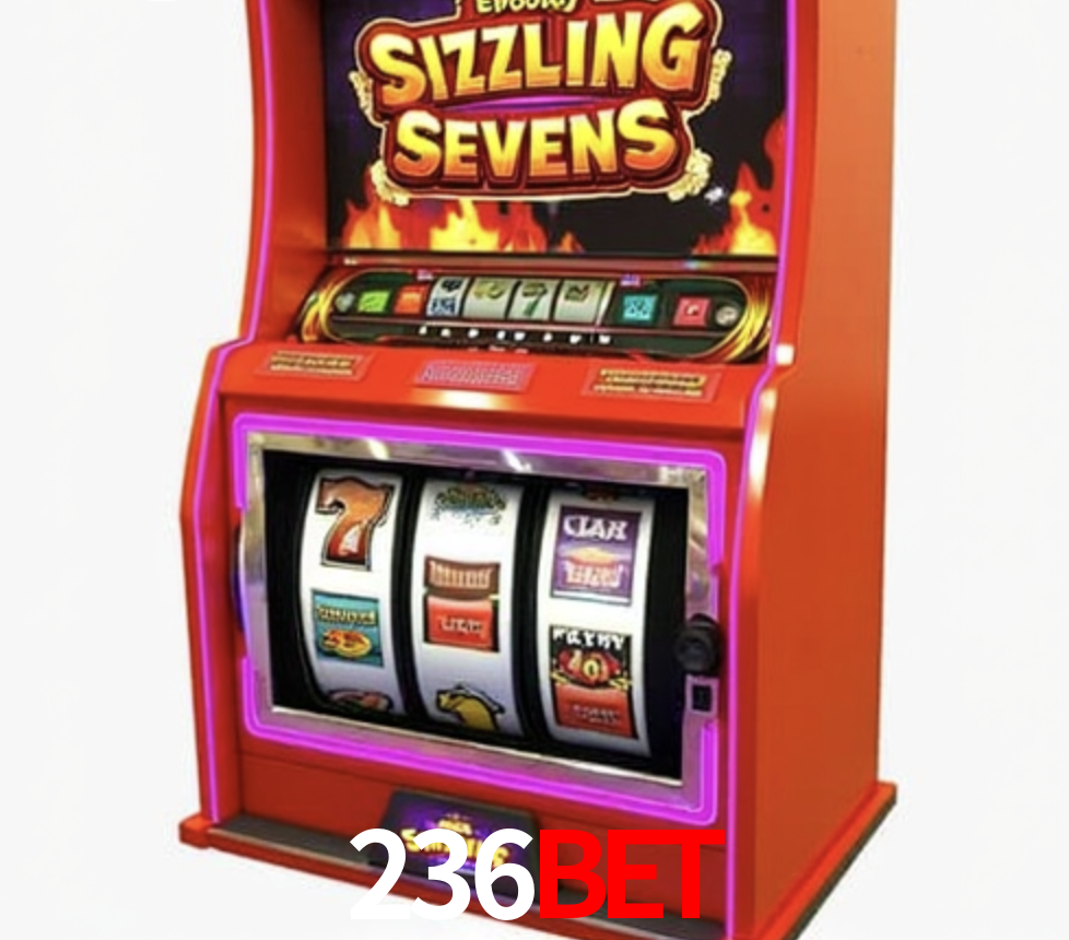 Security Systems 236BET