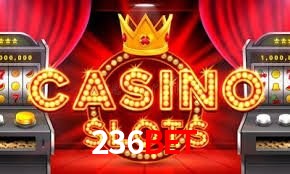 Player Reviews 236BET